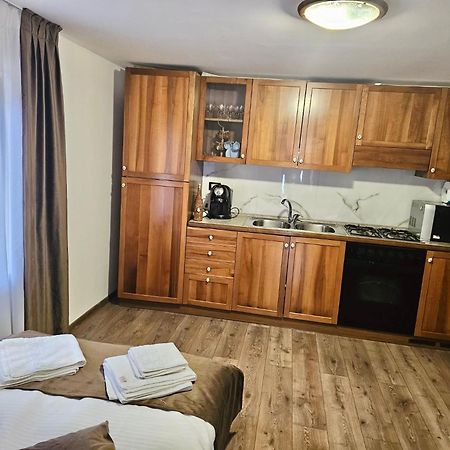Casuta Adelina Borsa Villa Dış mekan fotoğraf