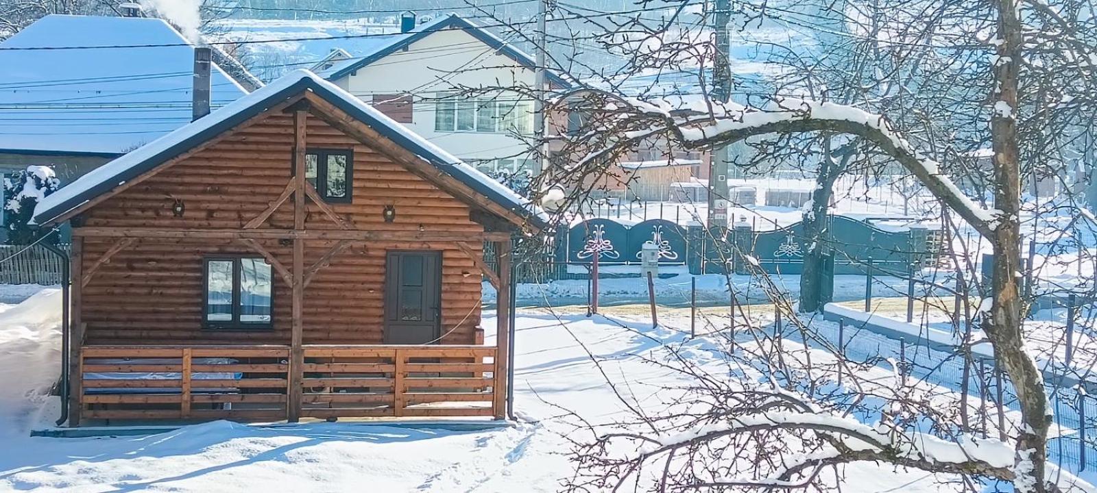 Casuta Adelina Borsa Villa Dış mekan fotoğraf
