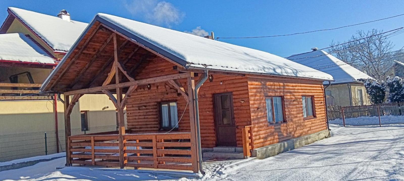 Casuta Adelina Borsa Villa Dış mekan fotoğraf